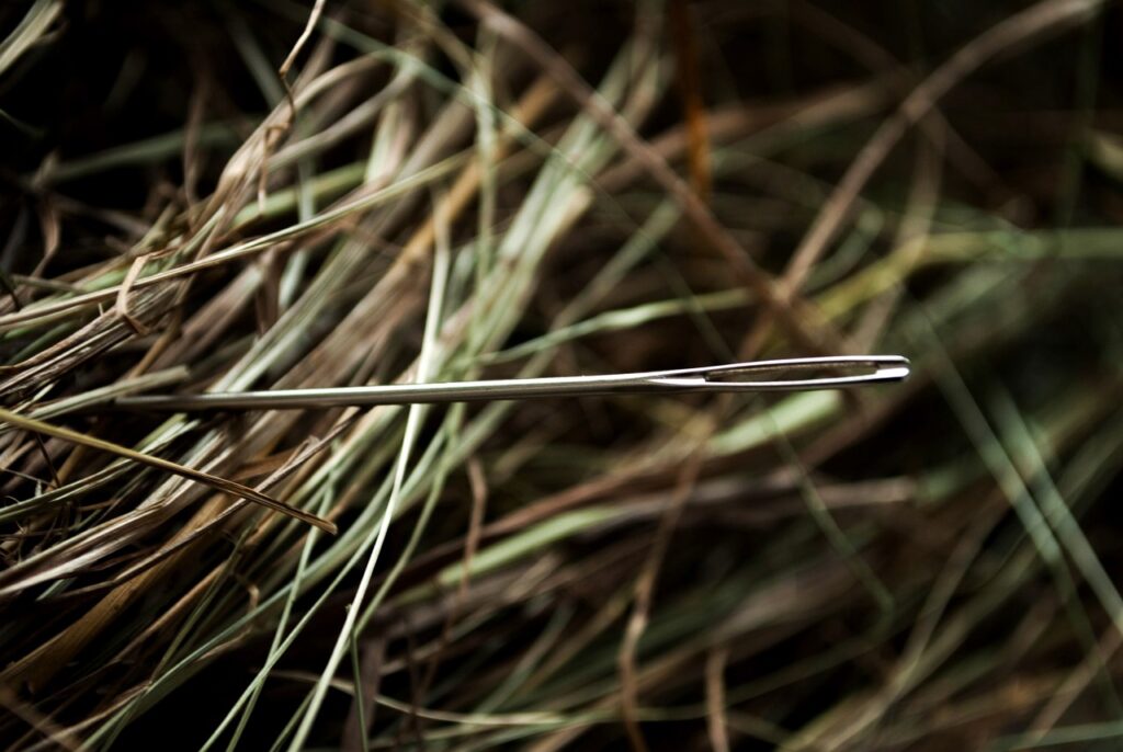 needle, hay, a needle in a haystack-1419606.jpg